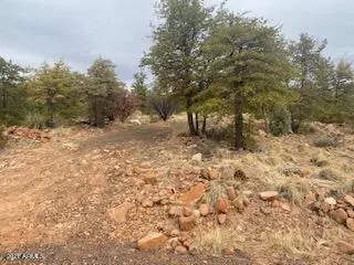 16 Hoot Owl Trail #16, Payson, AZ 85541