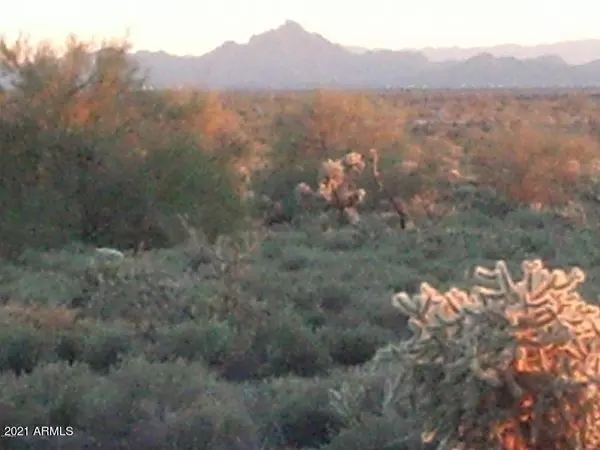 Rio Verde, AZ 85263,17220 E WHITETHORN Drive #B