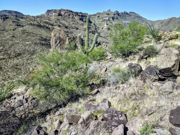 34800 N Cow Creek Road #B, Morristown, AZ 85342