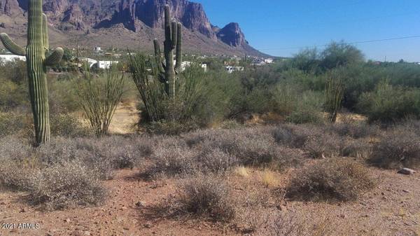 0 E Mining Camp Street #-, Apache Junction, AZ 85119