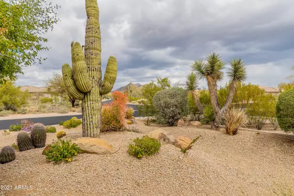 Cave Creek, AZ 85331,5243 E THUNDER HAWK Road