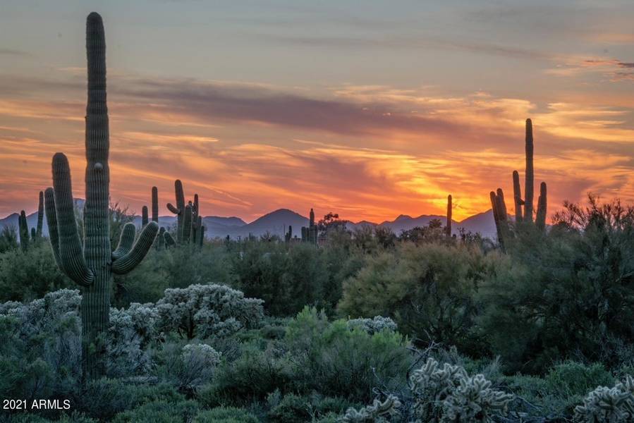 6009 E Saguaro Vista Court, Cave Creek, AZ 85331