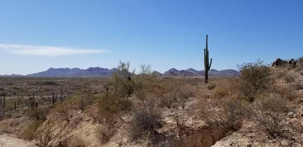 Apache Junction, AZ 85119,4900 E Lost Dutchman Boulevard #-