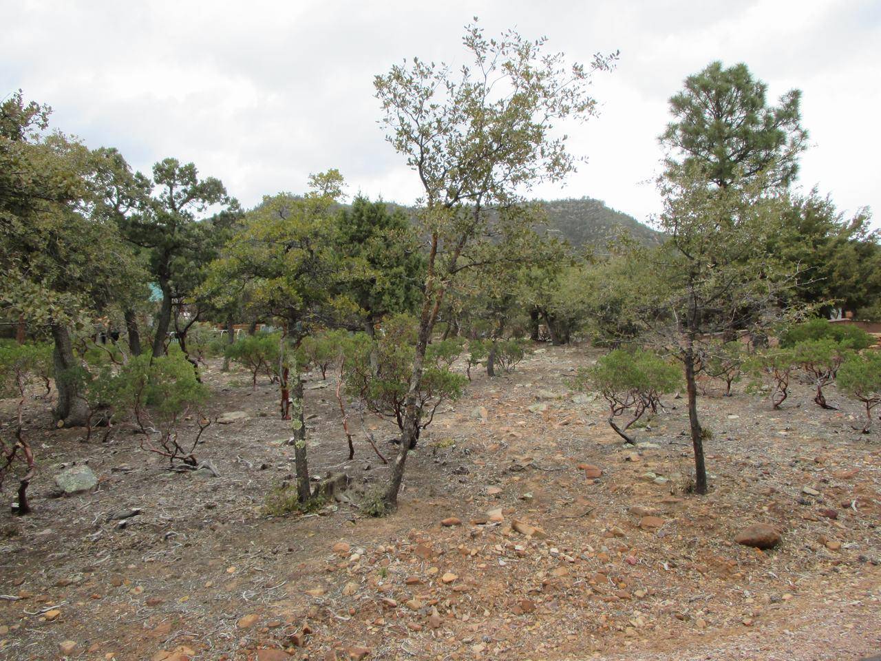Pine, AZ 85544,6530 W Ruin Hill Loop #150