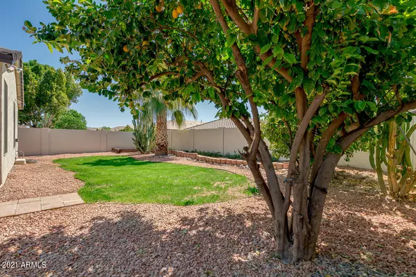 Chandler, AZ 85225,2851 E TYSON Street