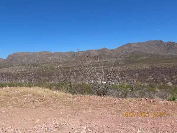 Vail, AZ 85641,11825 S Agua Verde Road #-