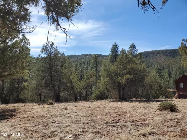 Christopher Creek, AZ 85541,70 W Homestead Lane #70