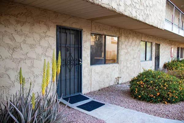 Scottsdale, AZ 85251,4950 N MILLER Road #140