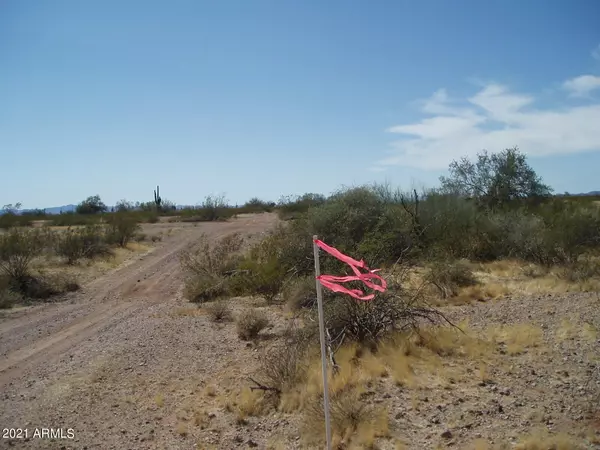 Unincorporated County, AZ 85361,30502 W Ocupado Drive #157
