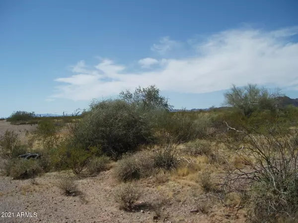 Unincorporated County, AZ 85361,30502 W Ocupado Drive #157