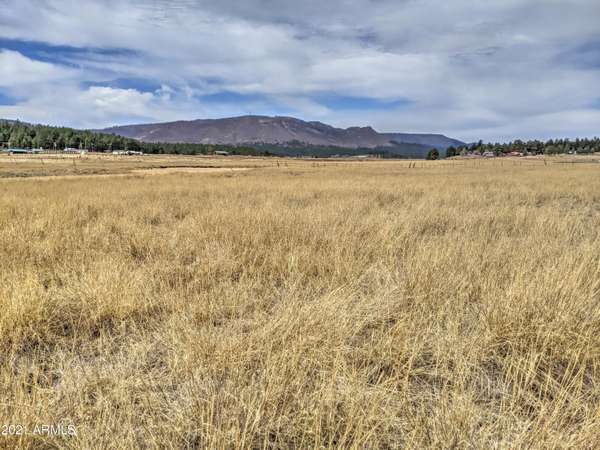 Alpine, AZ 85920,0 COUNTY ROAD 2105 -- #69, 70