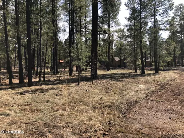 Pinetop, AZ 85935,7509 TALL PINE Drive #10