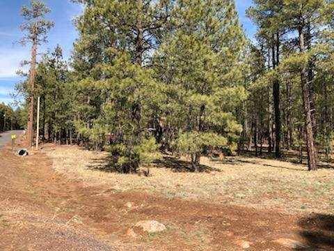 Pinetop, AZ 85935,7509 TALL PINE Drive #10