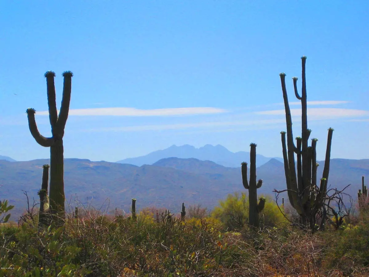 Rio Verde, AZ 85263,31300 N 173rd Place #-