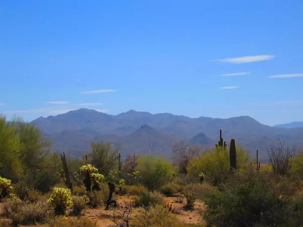 Rio Verde, AZ 85263,31300 N 173rd Place #-