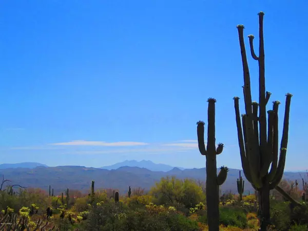 Rio Verde, AZ 85263,31300 N 173rd Place #-