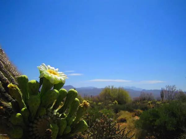 Rio Verde, AZ 85263,31300 N 173rd Place #-