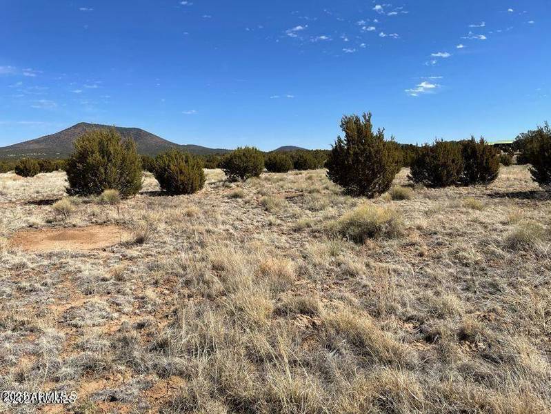 2651 E Soaring Eagle Lot C Road #6, Williams, AZ 86046