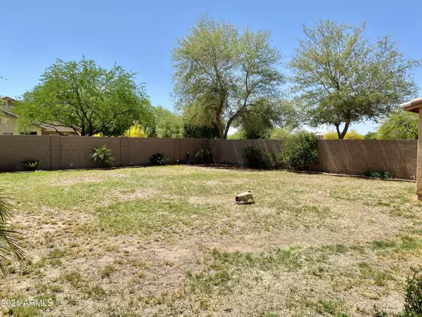 Avondale, AZ 85323,11233 W ELM Lane