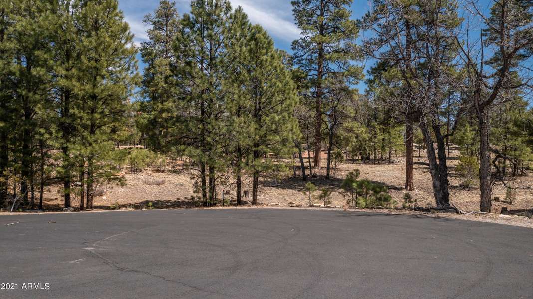 1605 MULE DEER Place #121, Happy Jack, AZ 86024