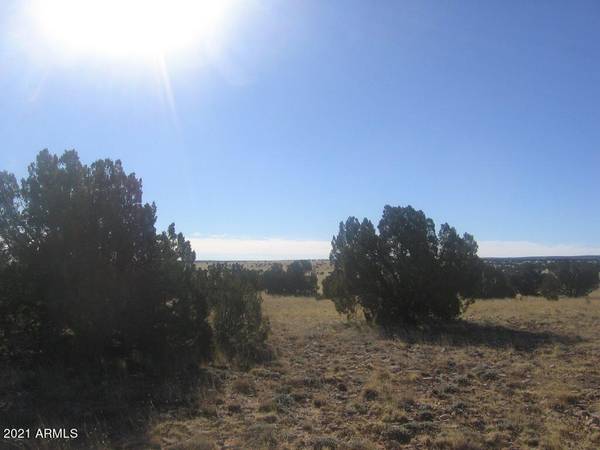 Overgaard, AZ 85933,551 Chevelon Canyon Ranch -- #551