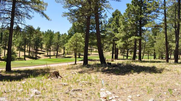 Flagstaff, AZ 86005,3160 S Solitaires Canyon Drive #357