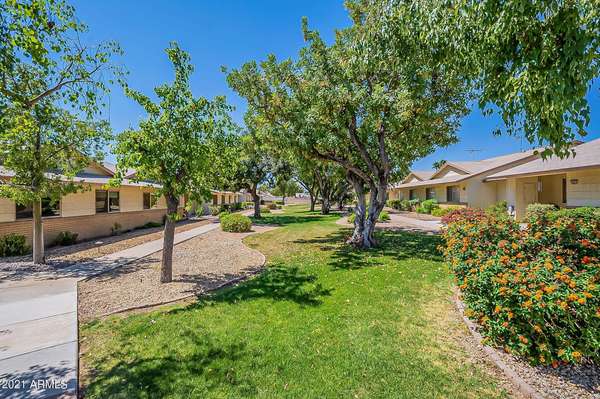 Sun City West, AZ 85375,18647 N PALOMAR Drive