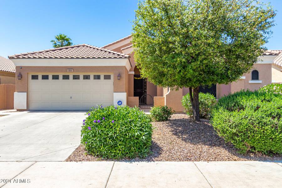 3814 S Wayne Drive, Chandler, AZ 85286