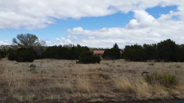 Concho, AZ 85924,21 Mountain Pine Road -- #21