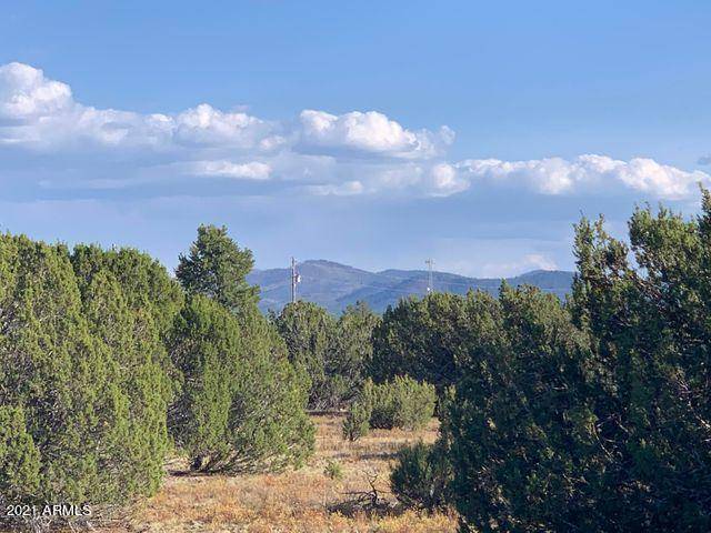 174 Co Rd 3187 9 Acres Lot  A -- #-, Vernon, AZ 85940