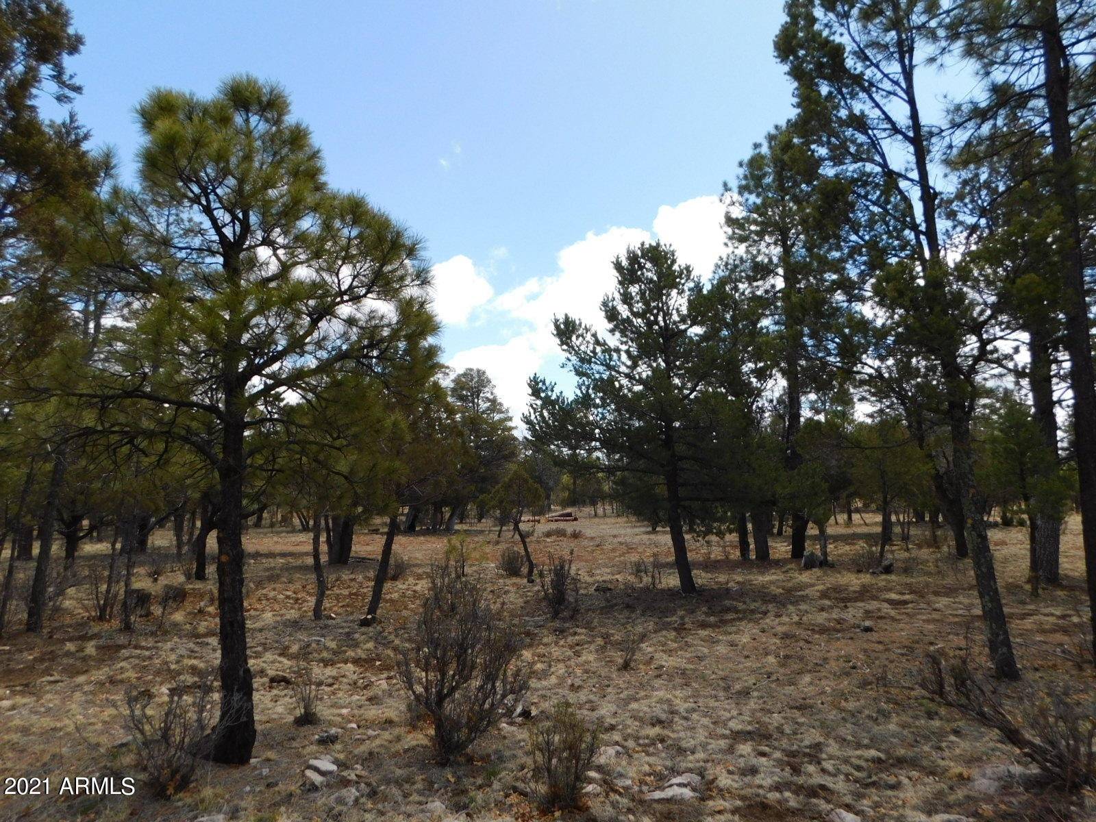Happy Jack, AZ 86024,3848 Durango Drive Drive #232
