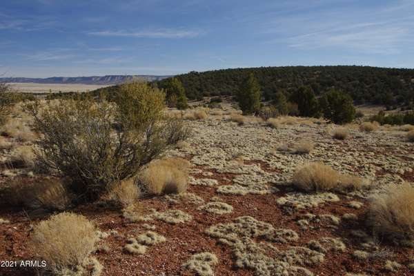 Seligman, AZ 86337,412 N Tracker Trail #-