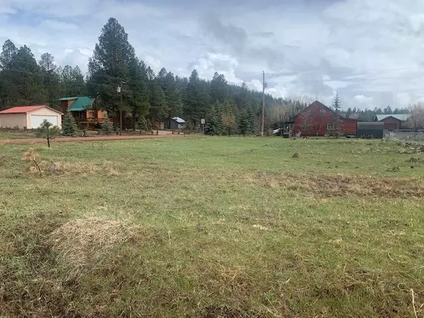 Pinetop, AZ 85935,103 W SKYHAWK Road #119