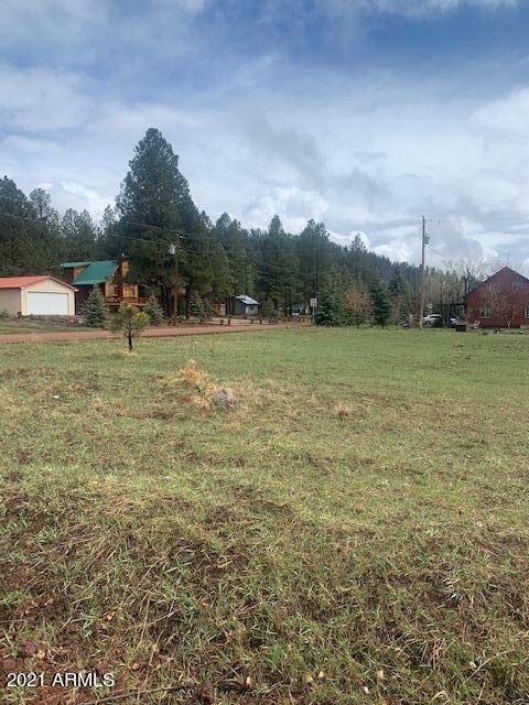 Pinetop, AZ 85935,103 W SKYHAWK Road #119