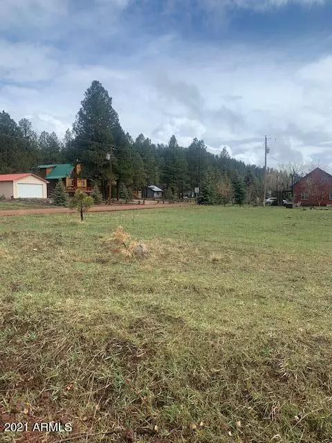 Pinetop, AZ 85935,103 W SKYHAWK Road #119