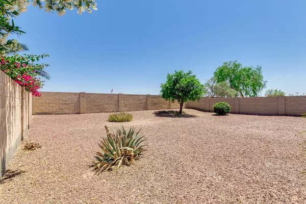 Maricopa, AZ 85138,18145 N LARKSPUR Drive