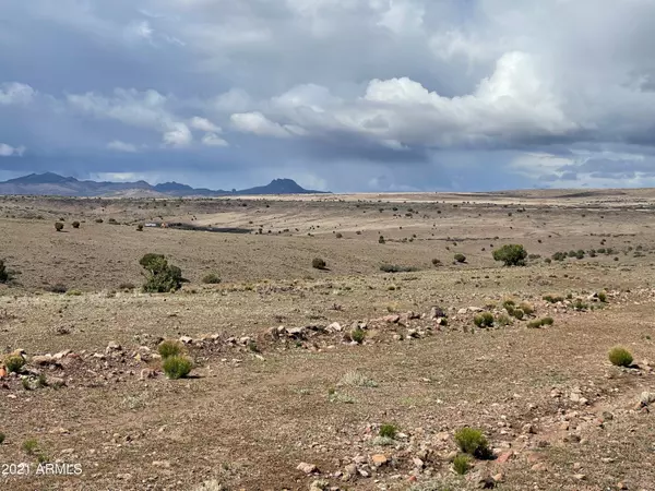 Wikieup, AZ 85360,42 Flecha Pass #221