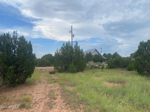 Show Low, AZ 85901,8560 CANNON Boulevard #126