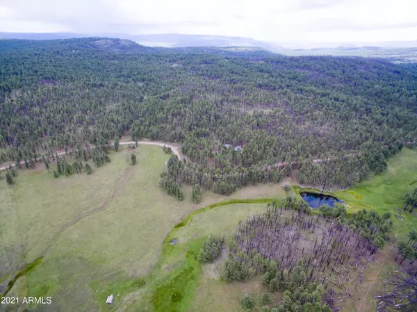 Alpine, AZ 85920,673 BEAVER CREEK FR 26 -- #R