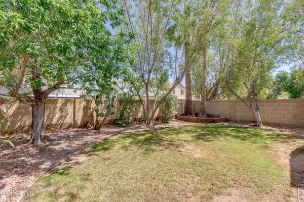 Chandler, AZ 85226,3838 W WHITTEN Street