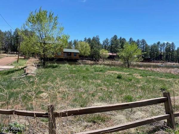 Lakeside, AZ 85929,2851 APACHE Cove #-