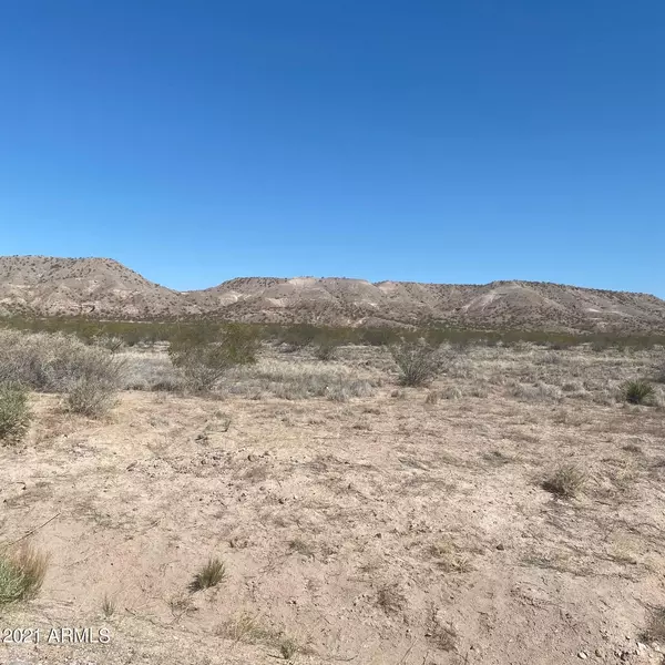 Duncan, AZ 85534,0 E Ocotillo Road #-