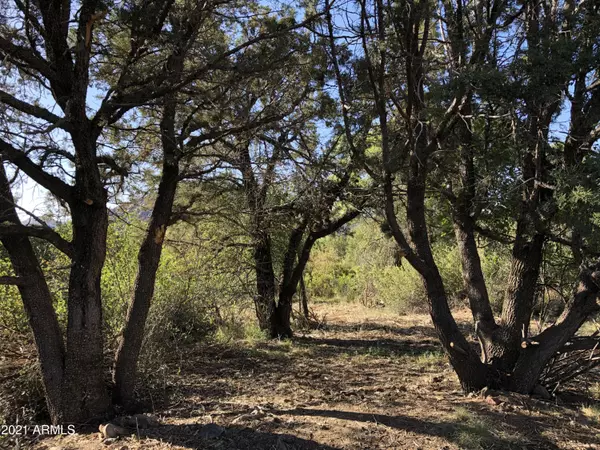 Yarnell, AZ 85362,22400 S CHERRY Lane #26