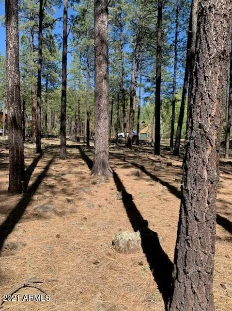 Pinetop, AZ 85935,8820 STARWOOD Drive #12