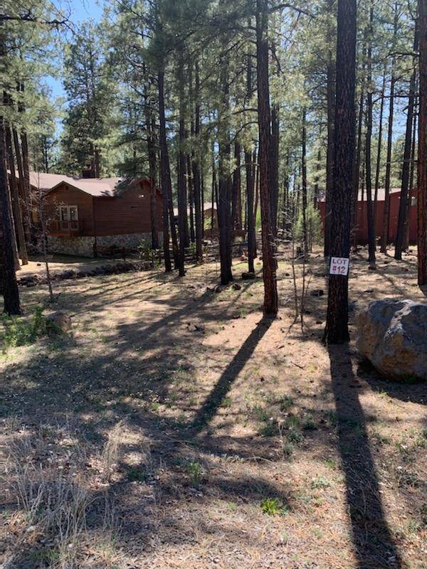 Pinetop, AZ 85935,8820 STARWOOD Drive #12