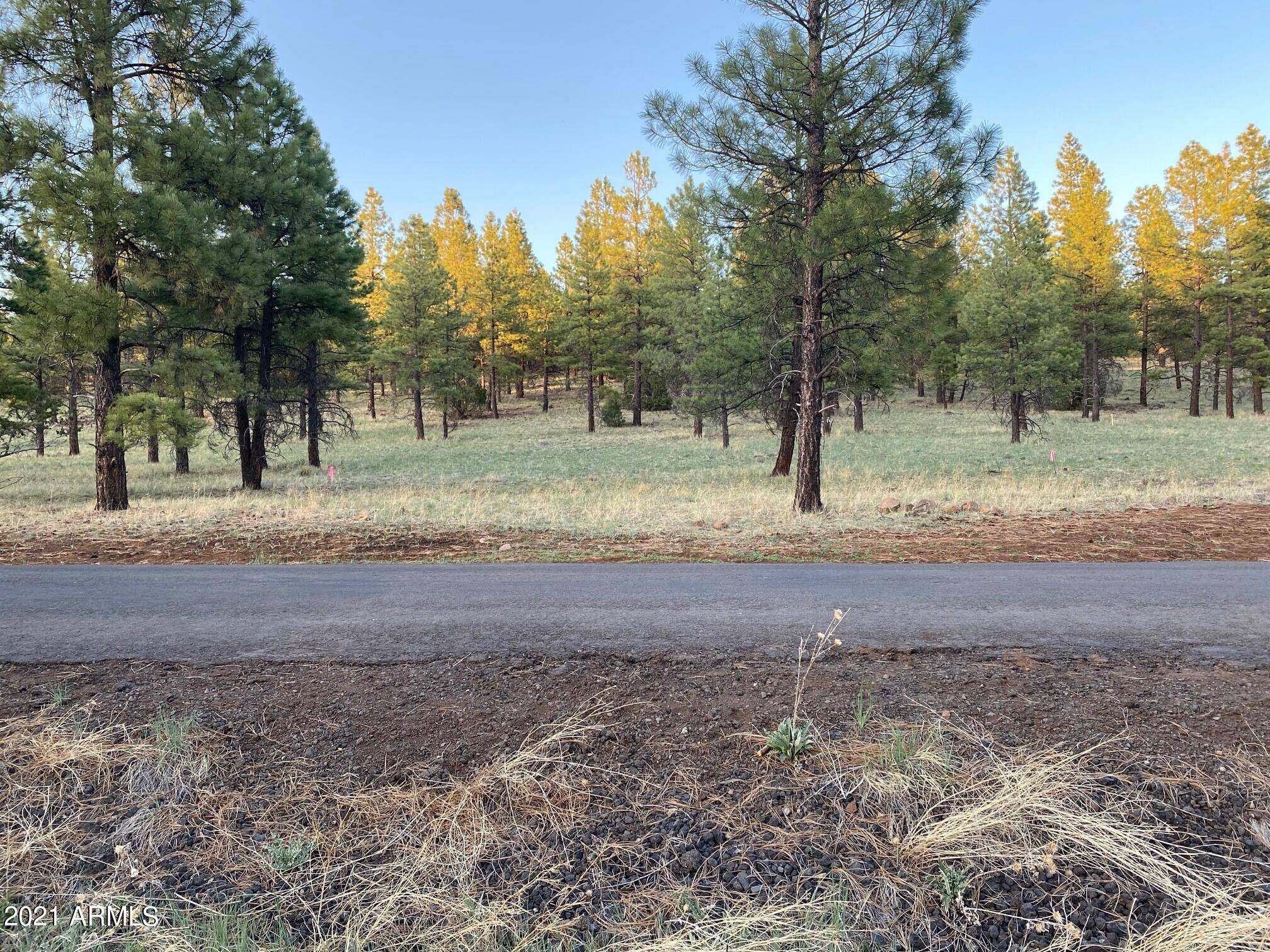 Flagstaff, AZ 86001,2274 N SAN FRANCISCO Street #1V