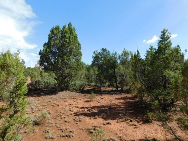 Overgaard, AZ 85933,2556 BURTON Lane #-