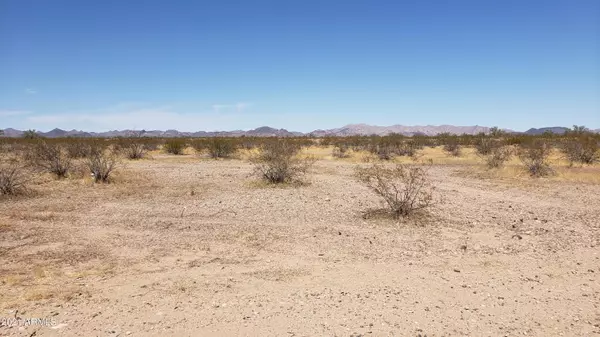 Tonopah, AZ 85354,42 W CAMELBACK lot L Road #M