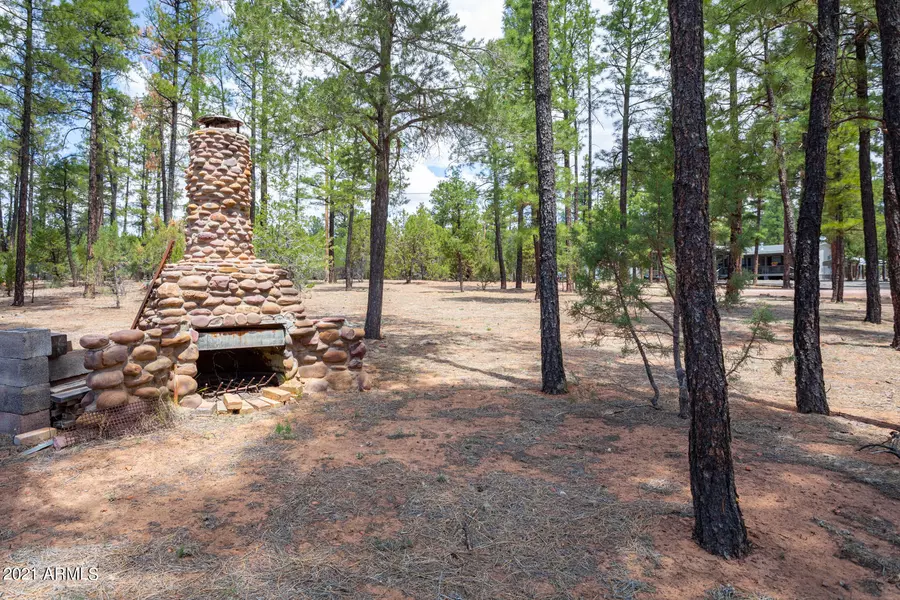 2147 ARROWHEAD Trail #44, Overgaard, AZ 85933