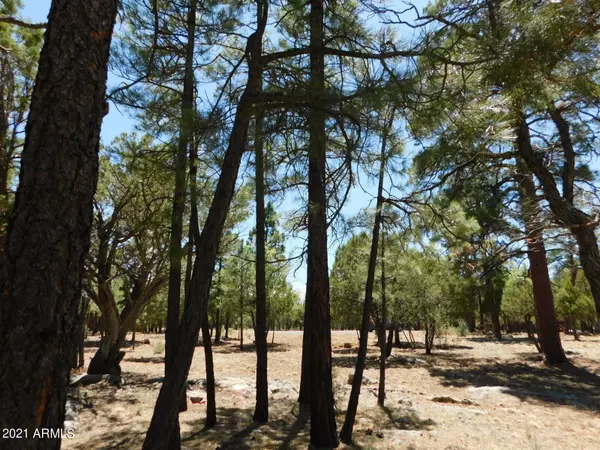 Happy Jack, AZ 86024,2797 Hummingbird Circle #158